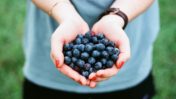 Blueberry, Omega 3, and L Theanine for Human Enhancement
