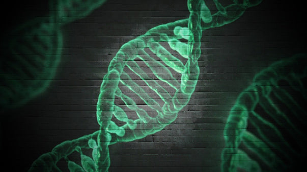 CRISPR Rewrites the Very Molecules of Life