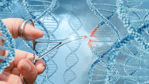 Gene Editing for Cell Therapy and Designer Babies