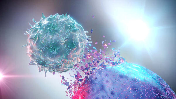How Cancer Cells Evade the Immune System