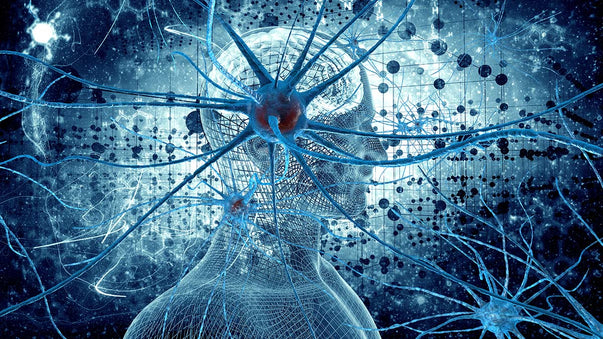 The Unexpected Complexity of Single Neuron Computation