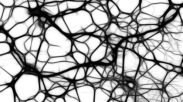 Do Our Brains Use AI Deep Learning Algorithms?