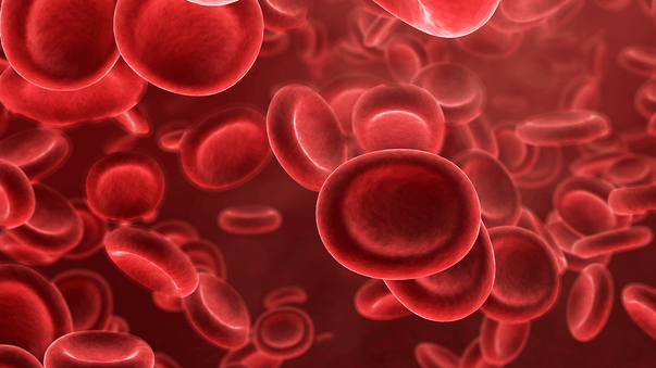 Omega 3 in Blood Cells Is Associated with Longevity