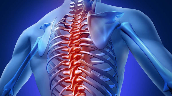 Controlled Molecular Motion for Spinal Cord Repair